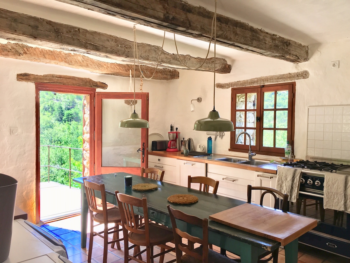 A rustic kitchen features wooden beams overhead, a long table with wooden chairs, and an abundance of natural light from large windows. The cooking area is equipped with essential appliances, including a stove and a sink, while greenery can be seen through the door.