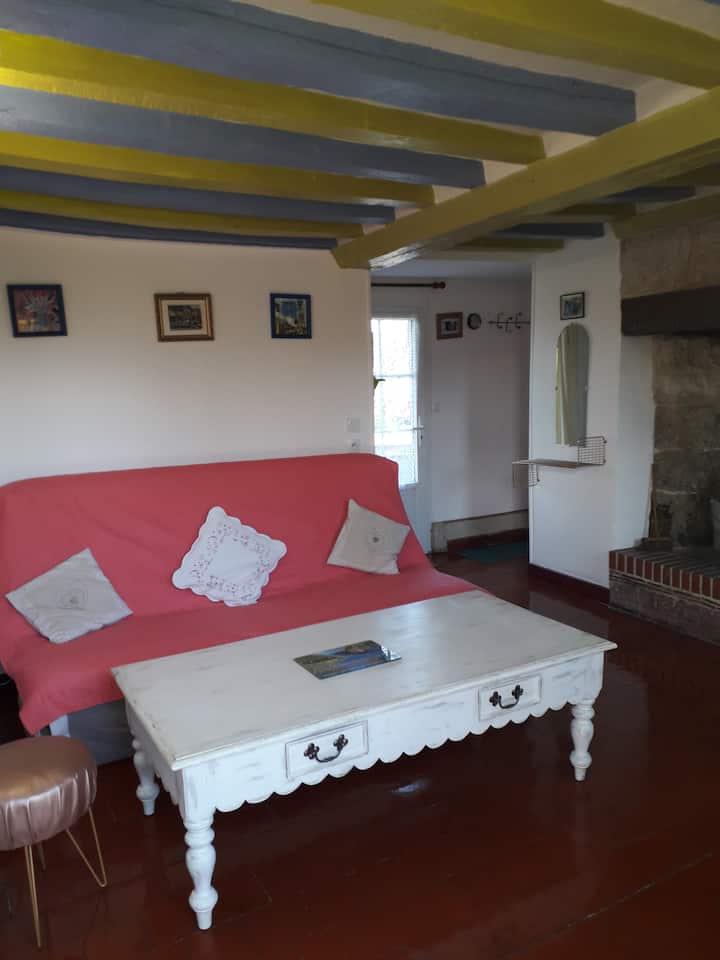 سرير أريكة لغرفة معيشة