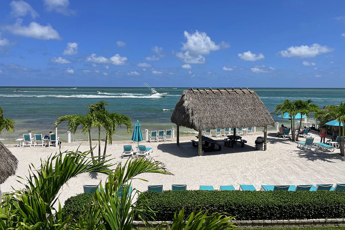 A sandy beach area is showcased, featuring lounge chairs arranged under teal umbrellas. A tiki hut offers shaded seating, while a backdrop of calm ocean waters reflects a bright blue sky dotted with clouds. The scene is framed by lush green palm foliage.