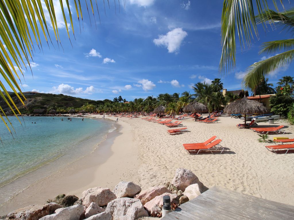 A beach scene captures golden sand lined with orange loungers and shaded palapas. Gentle waves lap at the shoreline, while tropical palm fronds partially frame the view. The clear blue sky is scattered with fluffy clouds, and lush greenery is visible in the background.