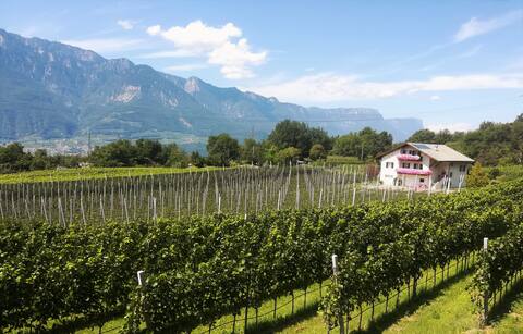 Ein Urlaub im Obstgarten
