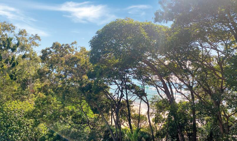 Little Cove Court – Apartment 9 gallery image 2