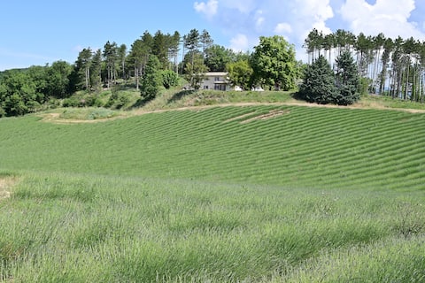 Beautiful cottage in the countryside with pool table.