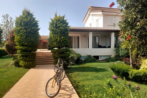 Popular Airbnb listing: Beautiful Summer Villa in Chalkoutsi Beach Oropos in Δήμος Ωρωπού