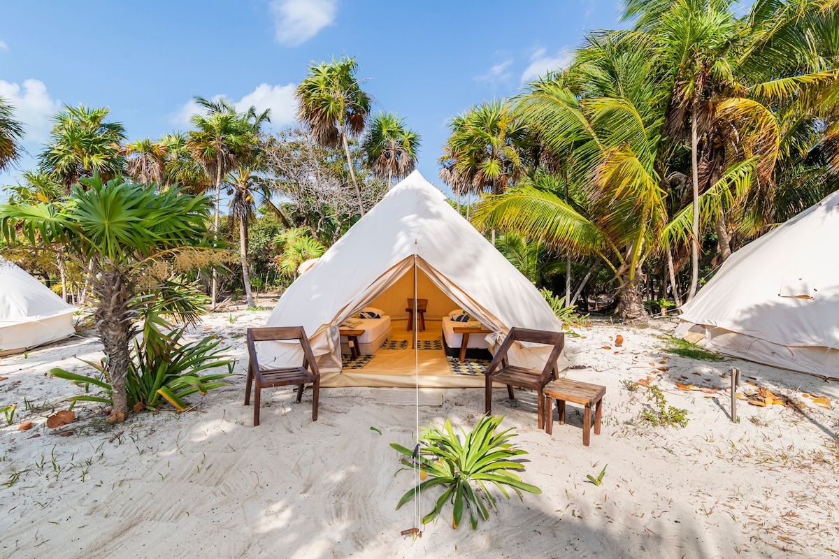 Glamping tents are nestled among lush tropical flora, surrounded by sandy terrain. Two wooden chairs are positioned outside each tent, inviting relaxation. The clear blue sky and abundant greenery create a serene setting that blends seamlessly with the natural environment.