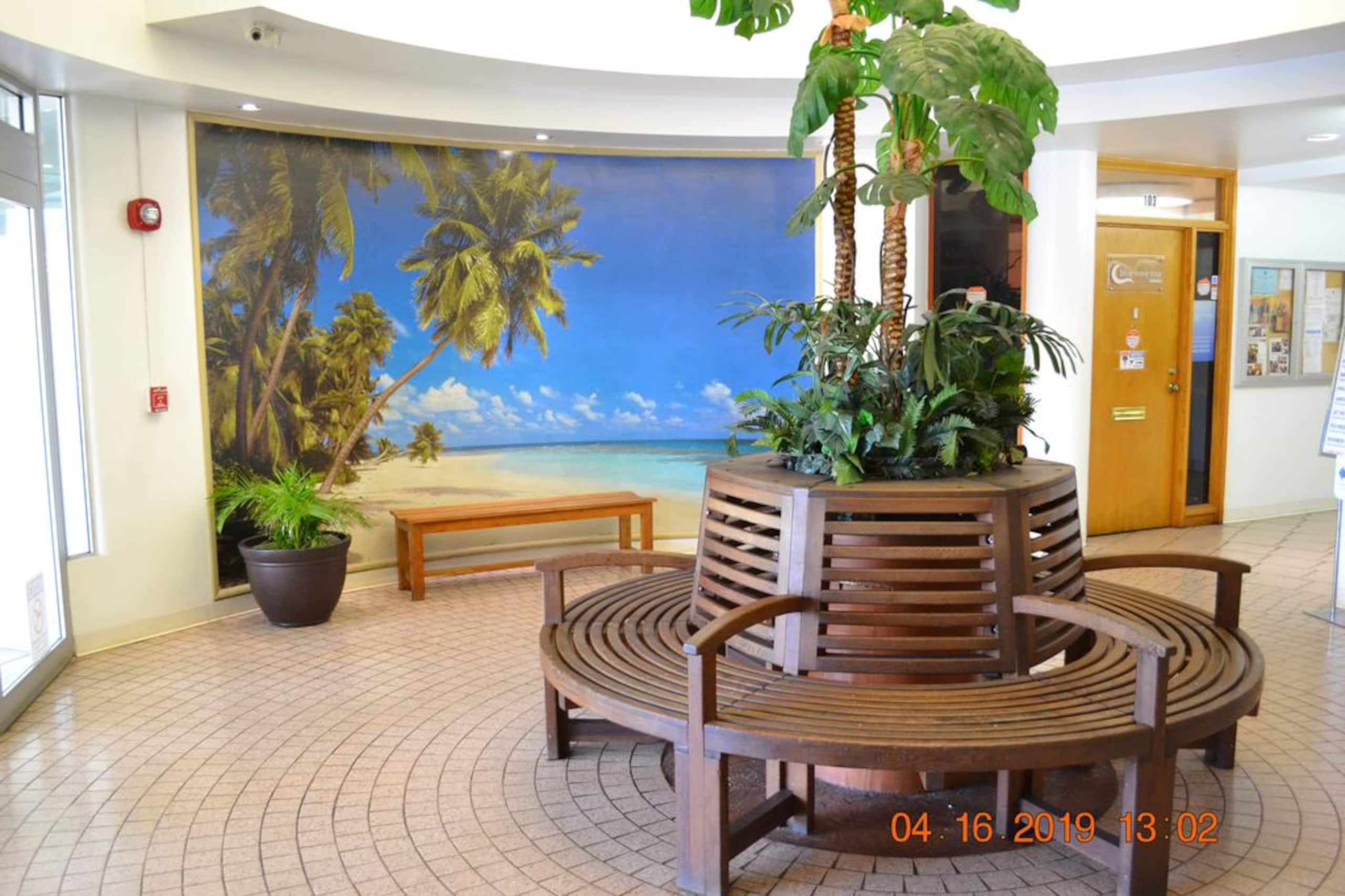 Condo in Honolulu · ★4.75 · 1 bedroom · 2 beds · 1 private bath - Image 5
