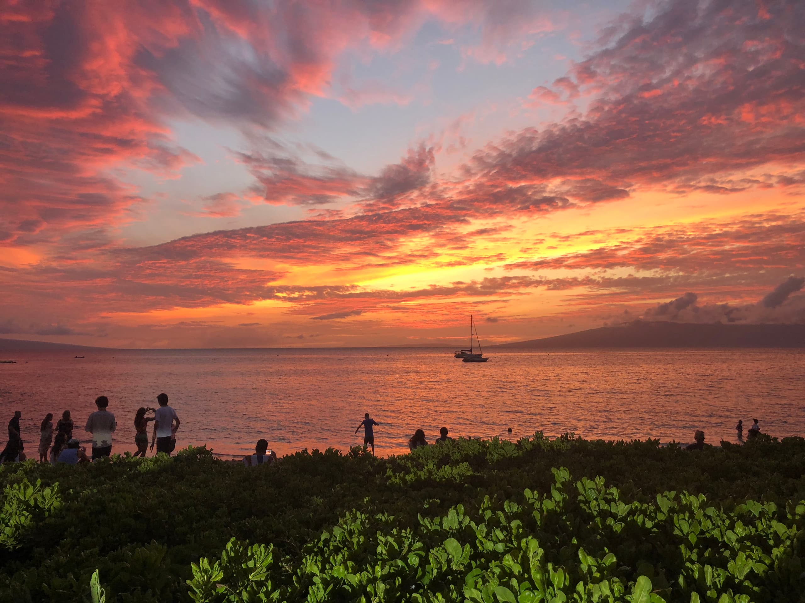 Condo in Lahaina · ★5.0 · 1 bedroom · 1 bed · 1 bath - Image 16