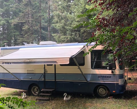 Little Blue RV in Redwoods