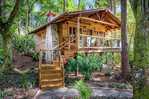 European Fireplace Chalet | Waterfalls, Tobogãs