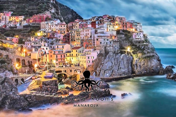 Camera ALBERTA Superior - MANAROLA - Appartamenti in affitto a Manarola,  Liguria, Italia - Airbnb