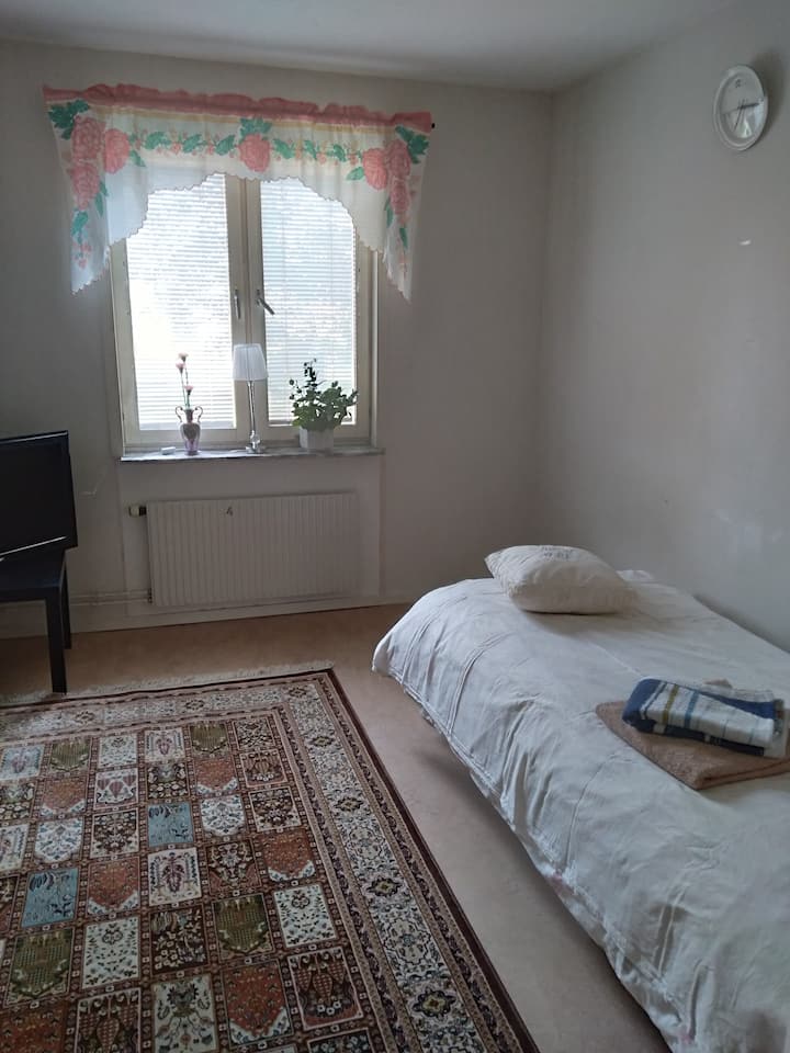 「夏日假期」图片 1