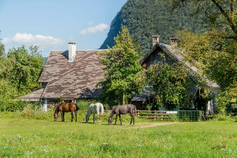 Charming blacksmith's house @ Lake Bohinj
