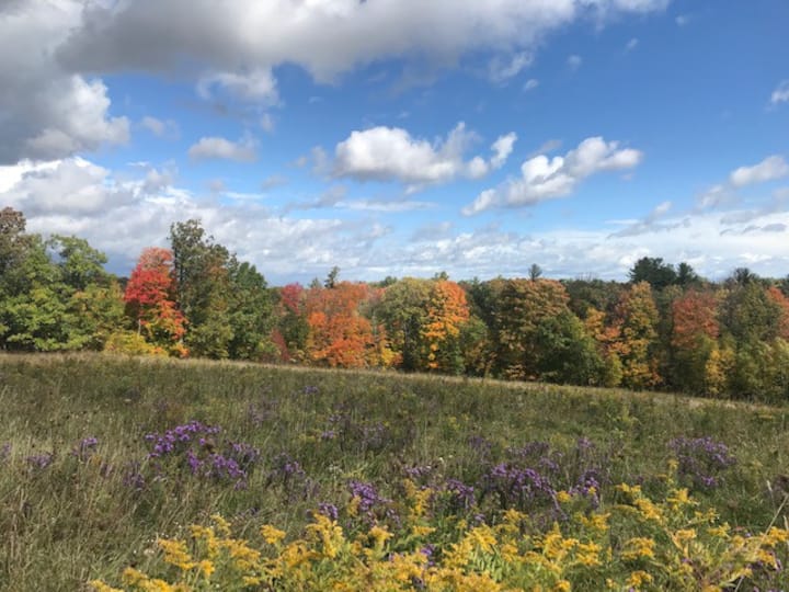 Gores Landing Alloggi e case vacanze Ontario, Canada Airbnb