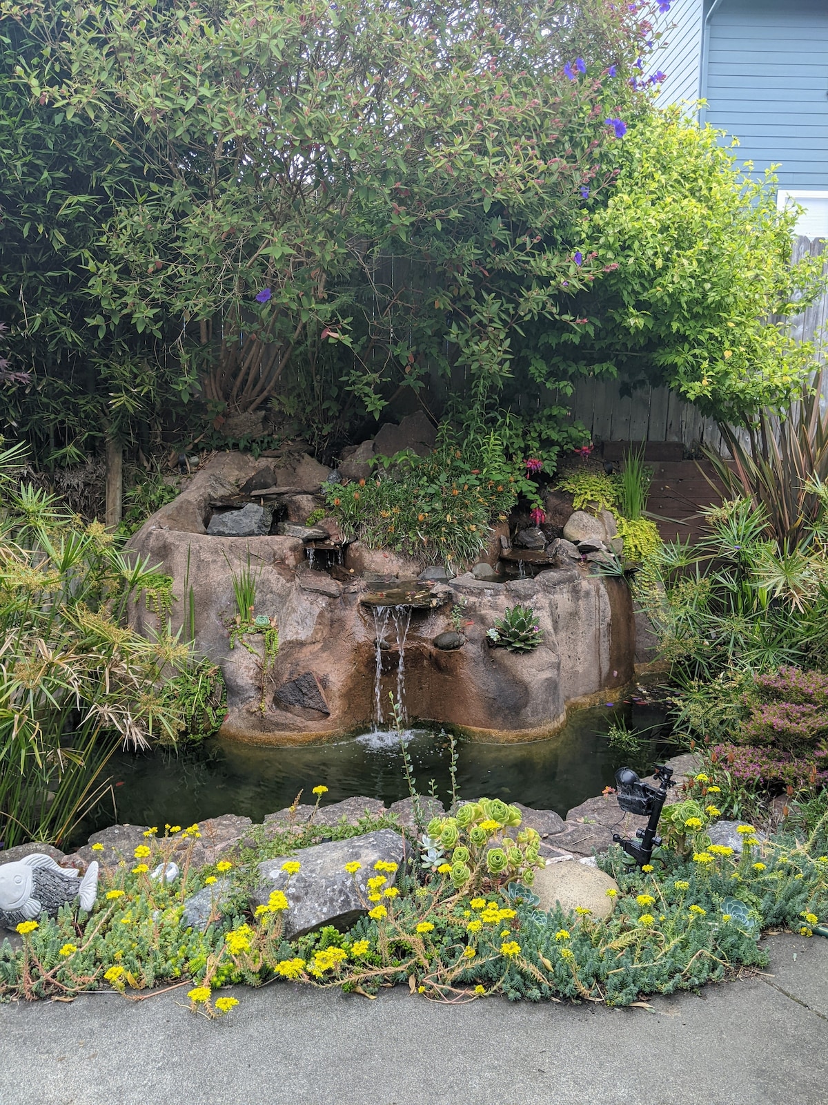 A serene garden features a cascading waterfall flowing into a koi pond, surrounded by lush greenery and colorful flowering plants. The scene is complemented by a variety of rocks and stones, creating a natural aesthetic in the landscape.