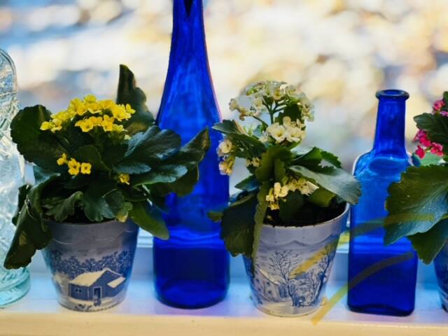 Hall of Fame Certificate of Excellence Rated gallery image 4