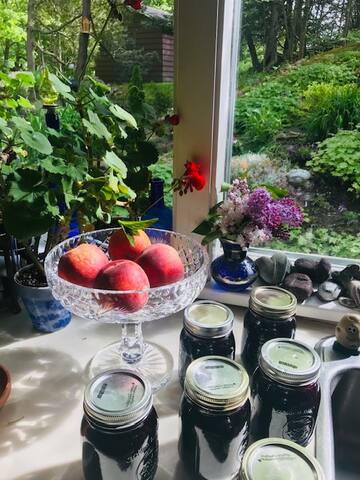 Hall of Fame Certificate of Excellence Rated gallery image 5