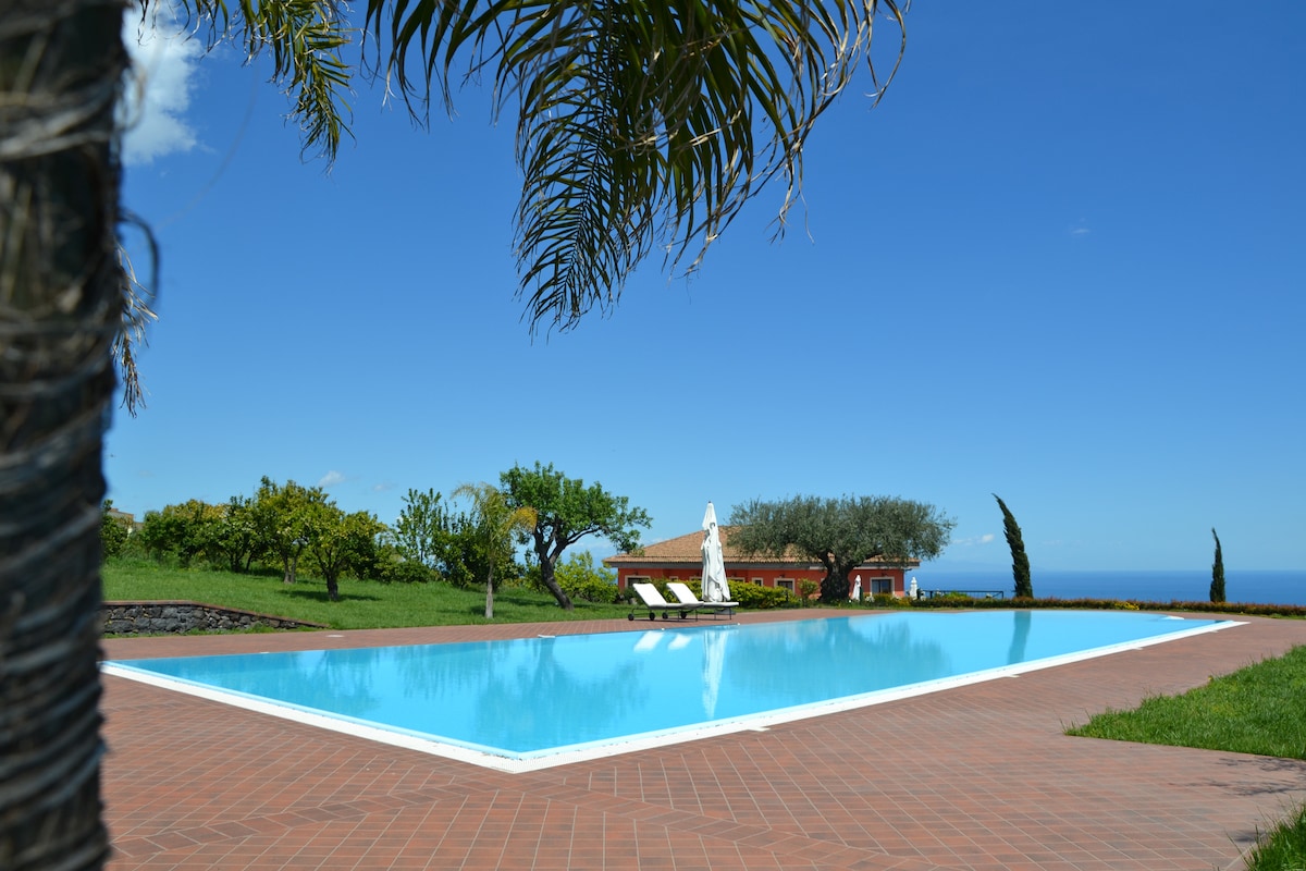 An expansive infinity pool is featured against a backdrop of lush greenery and blue sky. Sun loungers are positioned nearby, while palm trees and delicate shrubs are visible at the edge of the pool area, creating a serene outdoor environment.