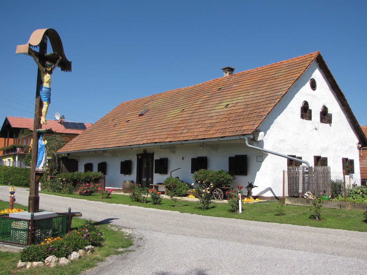Sveta Ana v Slovenskih Goricah Vacation Rentals & Homes - Lenart, Slovenia  | Airbnb