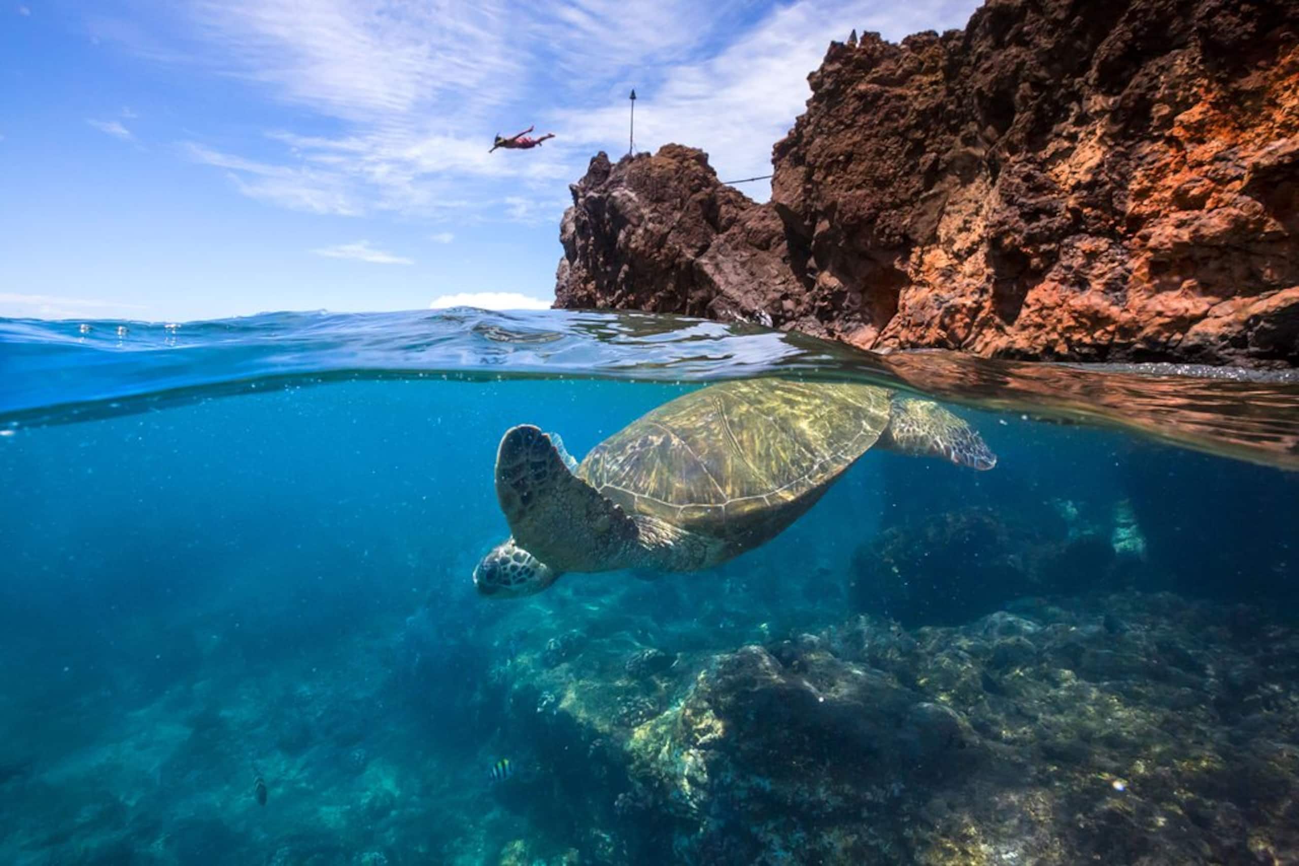Noah’s Hideaway Maui, Luxury B&B, Kaanapali Beach! - Image 19