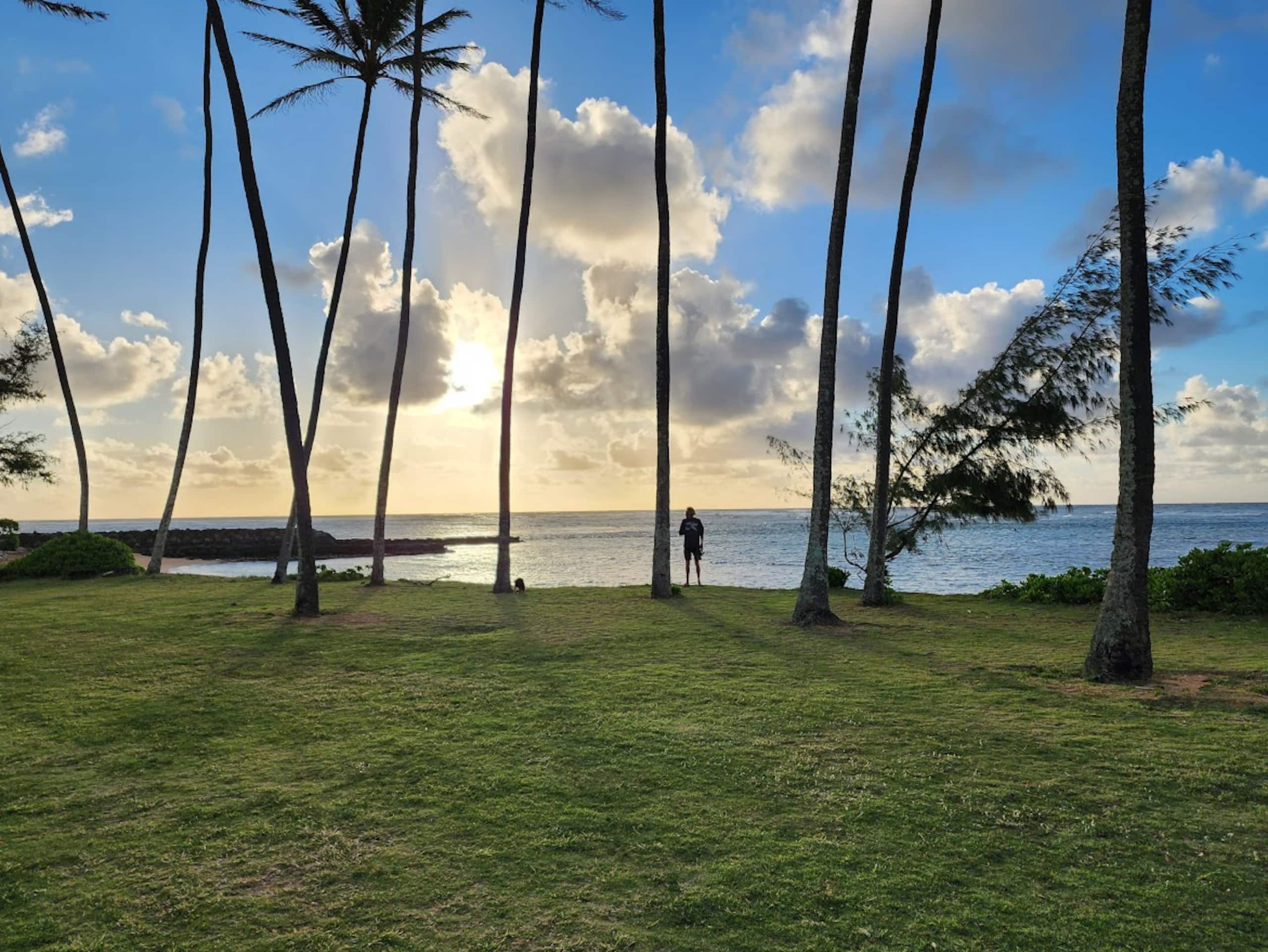 ♥ Stylish Spacious 1BR 2 floor Loft close to beach - Photo 68