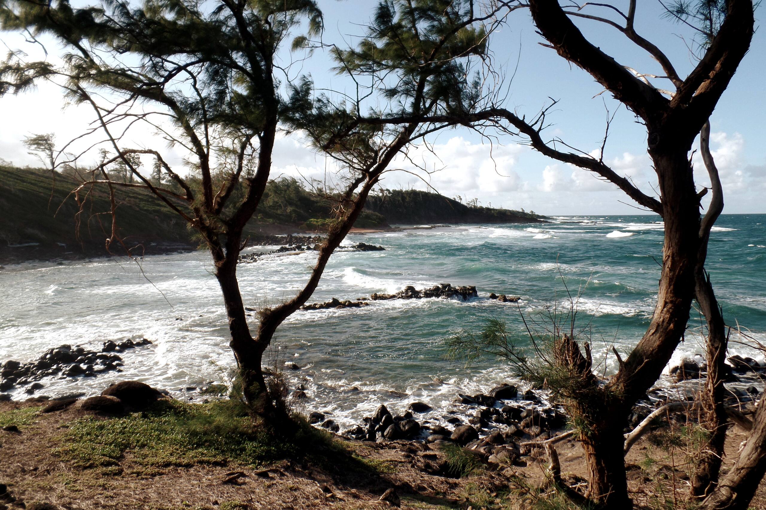 ♥ Stylish Spacious 1BR 2 floor Loft close to beach - Photo 53