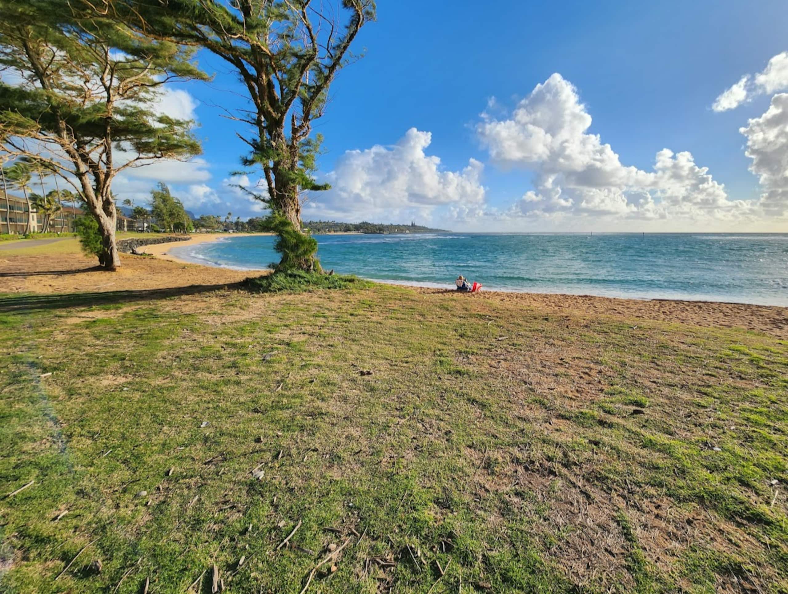 ♥ Stylish Spacious 1BR 2 floor Loft close to beach - Photo 69