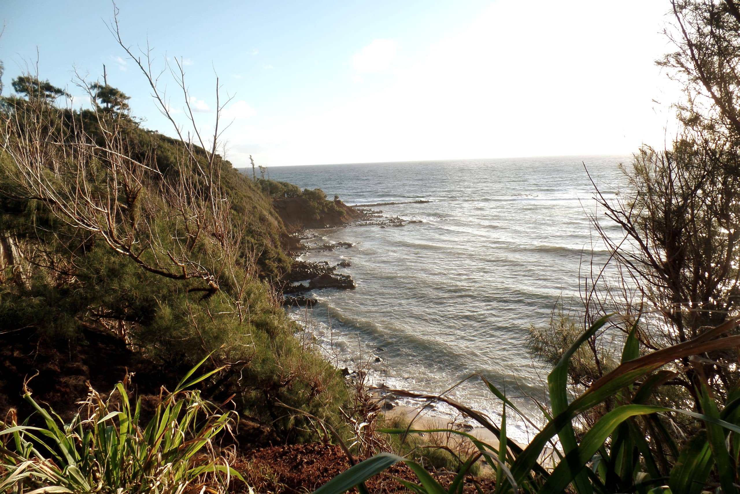 ♥ Stylish Spacious 1BR 2 floor Loft close to beach - Photo 56