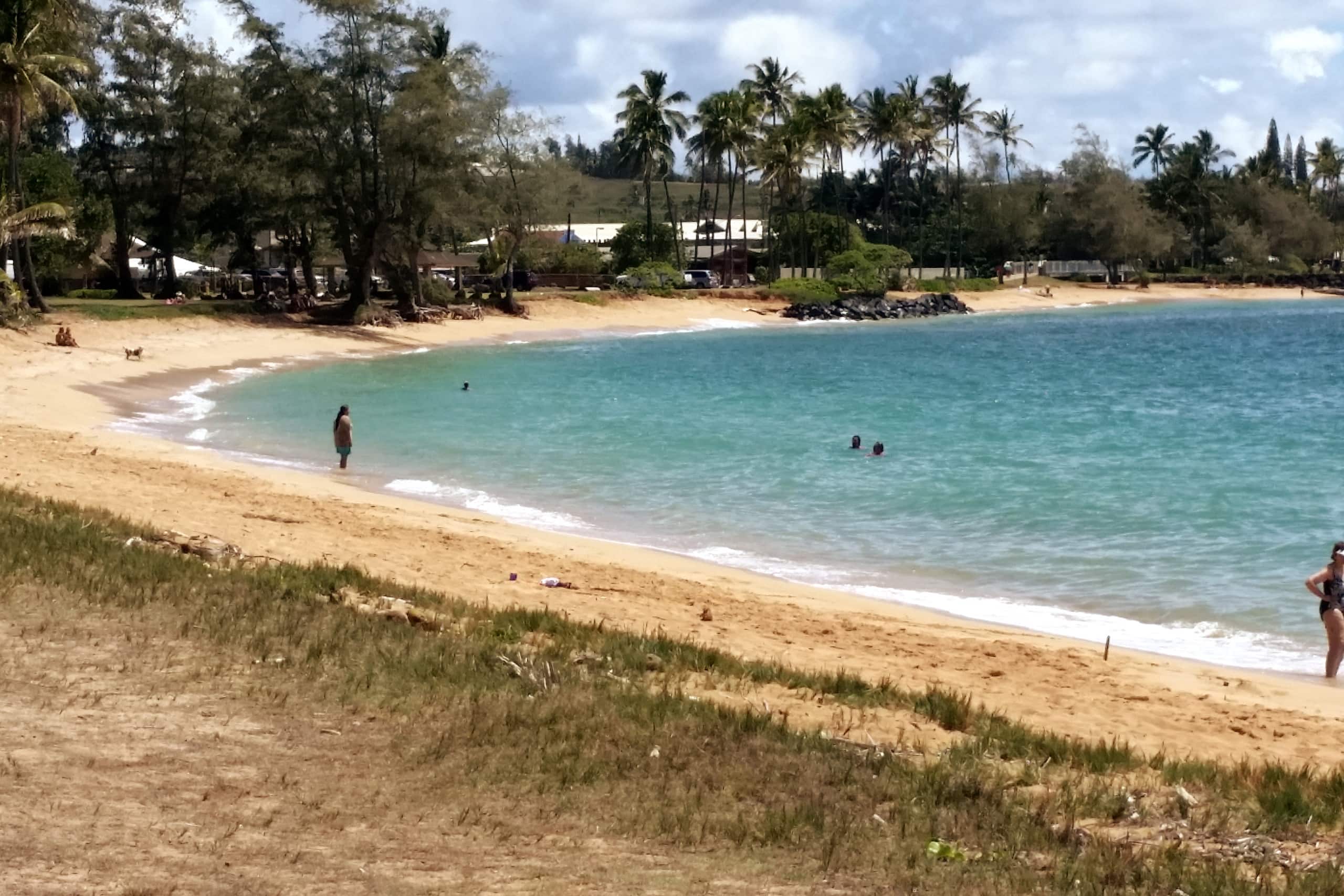 ♥ Stylish Spacious 1BR 2 floor Loft close to beach - Photo 45