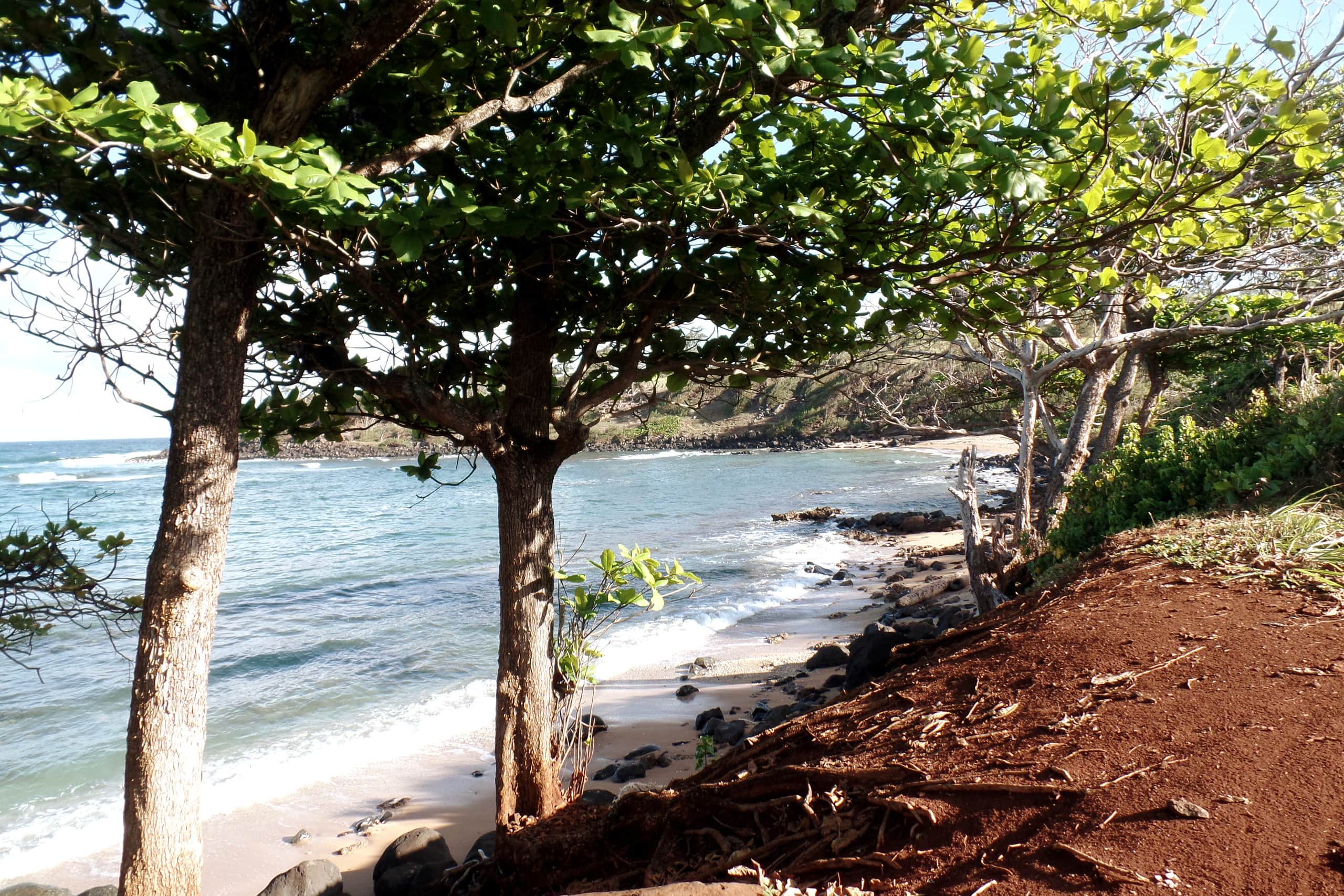 ♥ Stylish Spacious 1BR 2 floor Loft close to beach - Photo 54