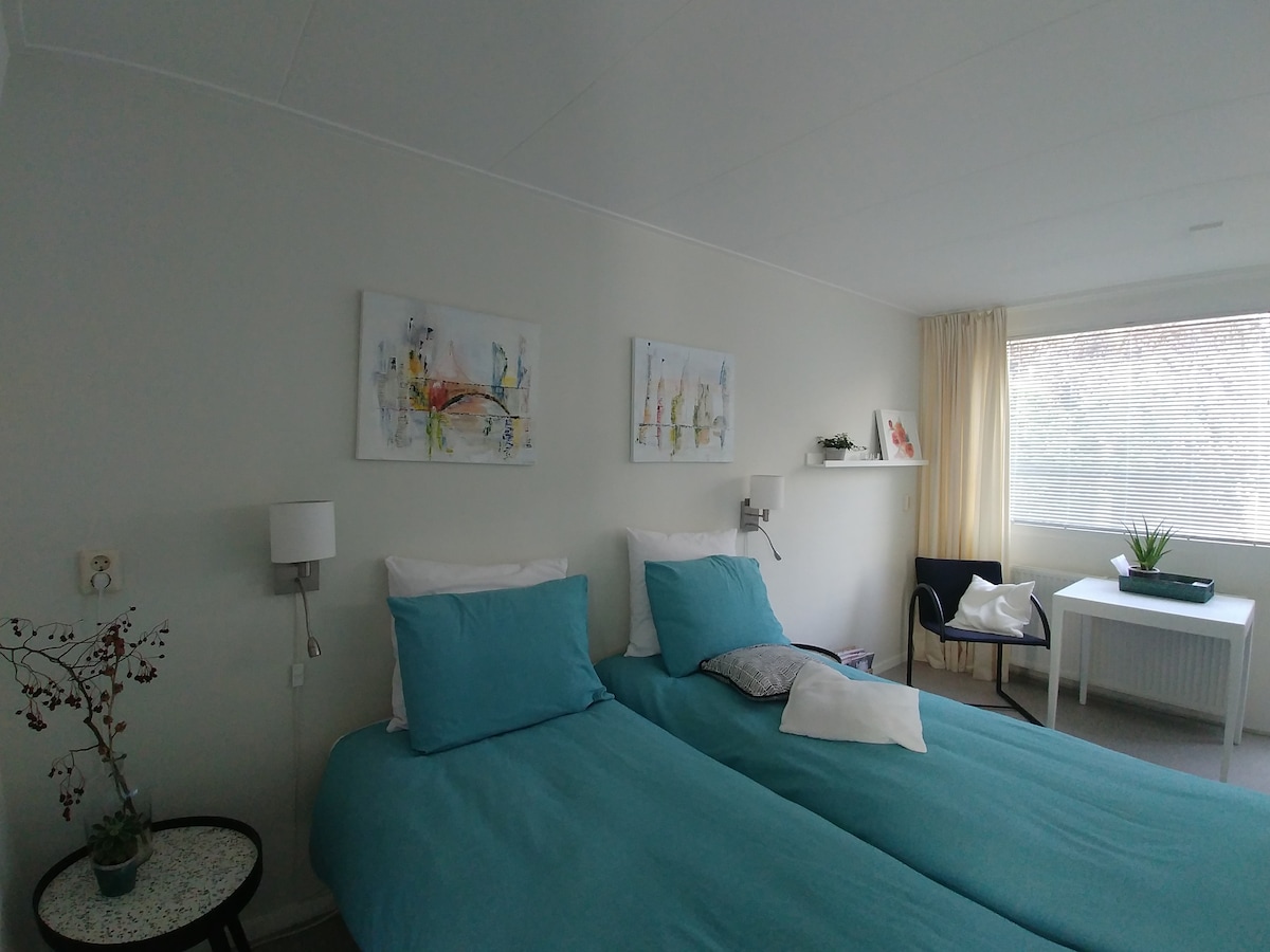 A well-lit sleeping area features two spacious beds with turquoise bed linens. Colorful artwork adorns the white walls above the headboards. A minimalist table and chair sit beside a window dressed with sheer curtains, while a small plant adds a touch of greenery.