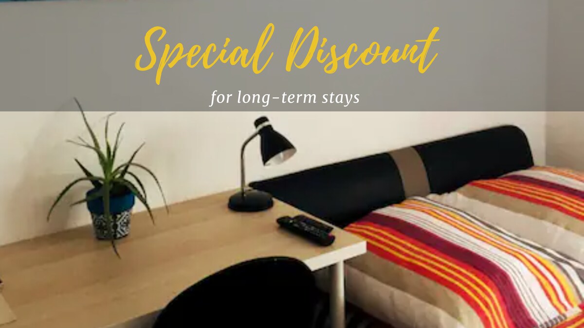 A small, comfortable room features a double bed with a colorful striped duvet. A desk with a chair and a lamp sits beside the bed. A green plant in a blue pot adds a touch of nature to the space.