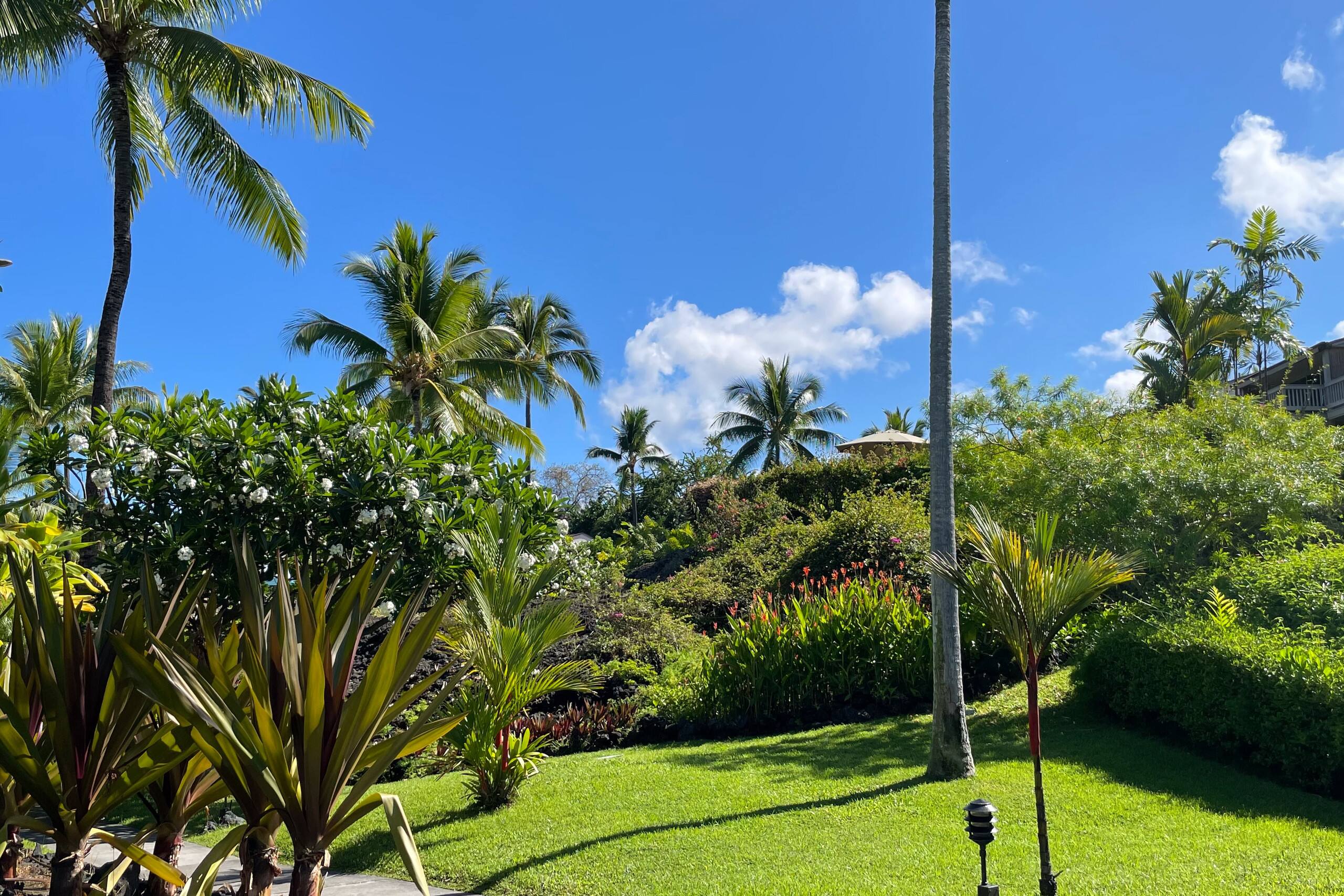 Condo in Kailua-Kona · ★4.85 · 1 bedroom · 1 bed · 1 bath - Image 41