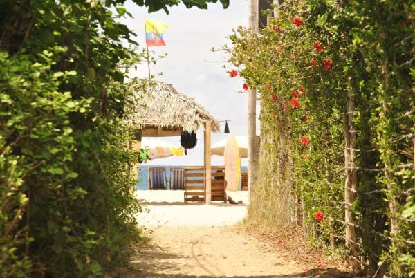 A path lined with greenery and vibrant red flowers leads to a beach area, where a thatched-roof structure is visible. Surfboards are propped up nearby, and a flag flutters in the breeze, creating a welcoming entrance to the seaside.