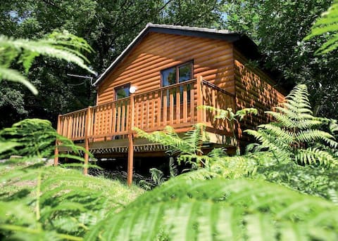 Wren 23-WoodlandLodges-Pembroke, Carmarthen, Tenby