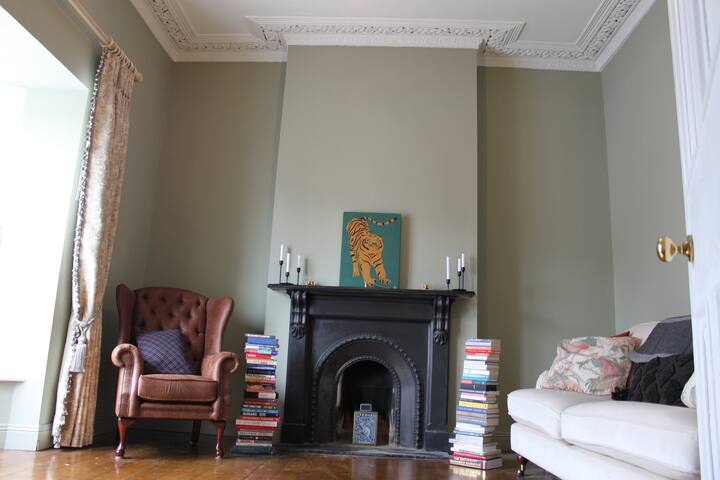 Dreamy City Center Victorian Home gallery image 4