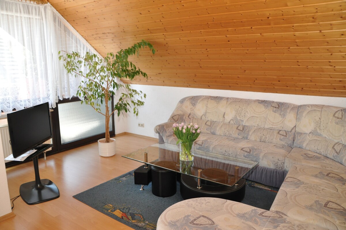 Top Airbnb: Langenargen / Lake Constance apartment Haus Franke a Langenargen