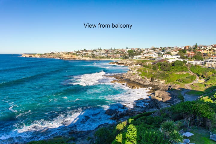 WOW FACTOR GUARANTEED! Fab Bondi/Tama location gallery image 2