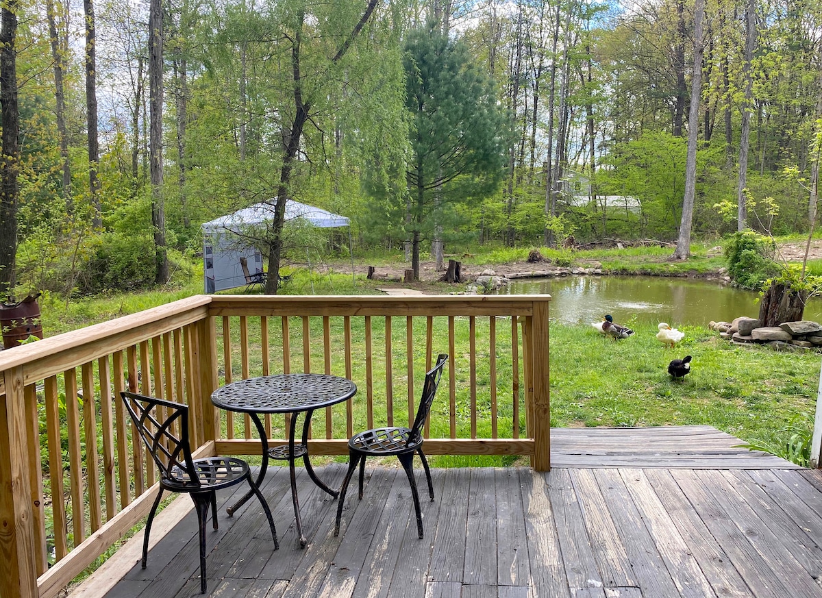A wooden deck features a round table with two chairs, overlooking a serene pond surrounded by lush greenery. Nearby, ducks can be seen enjoying the quiet outdoor setting, adding to the tranquil ambiance of the area.