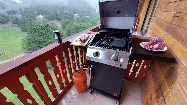 The best view in the Termas de Chillán