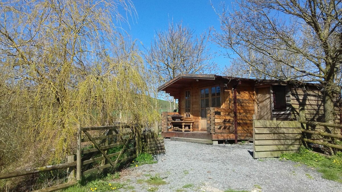 A single room cabin is positioned under a clear blue sky, surrounded by trees. A wooden deck with outdoor seating is visible, providing an inviting space for relaxation. Stone pathways lead towards the entrance, framed by a rustic wooden fence.