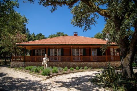 House of Hearts | Heart House