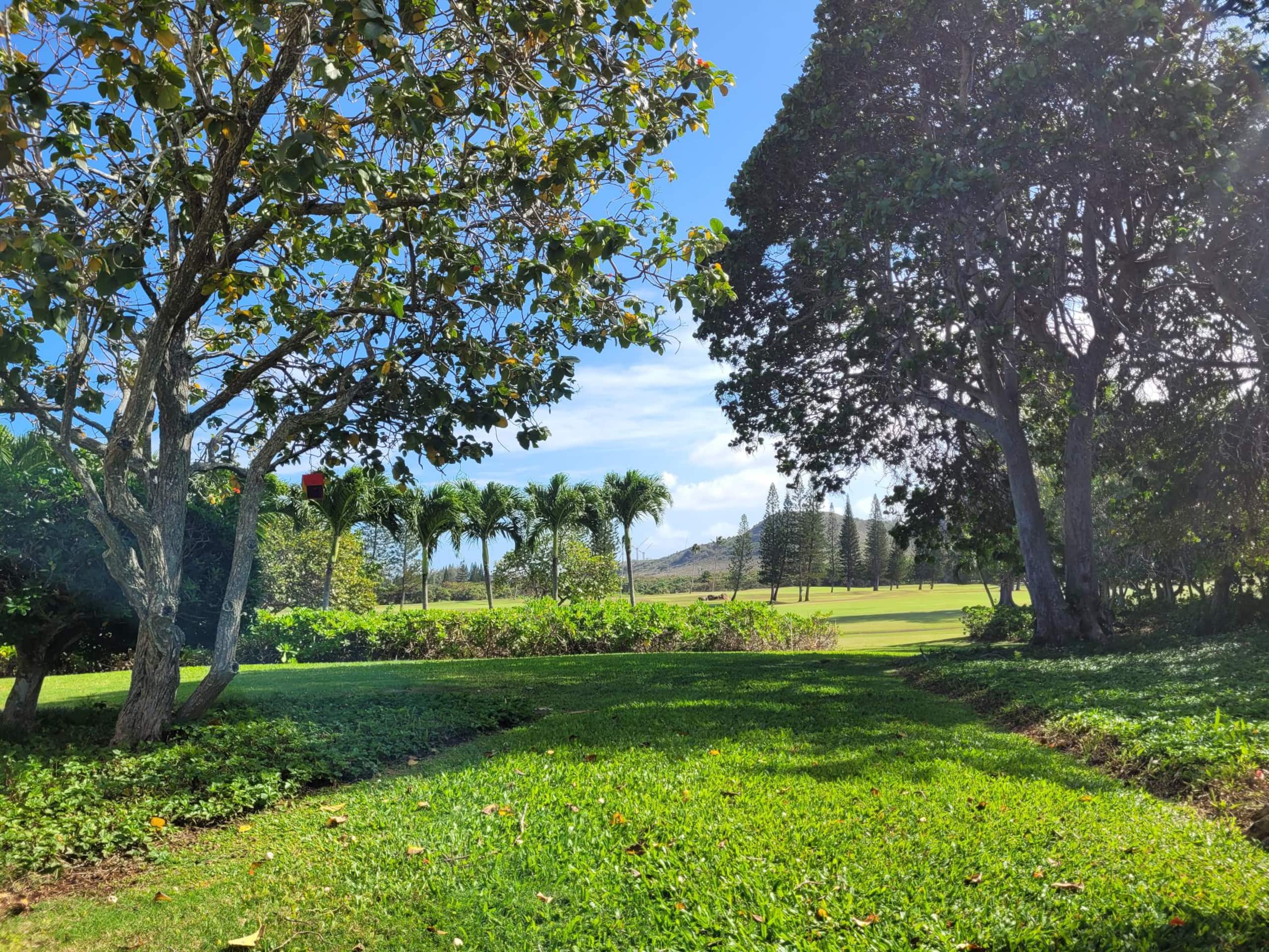 Condo in Kahuku · ★4.89 · 2 bedrooms · 4 beds · 2 shared baths - Image 22