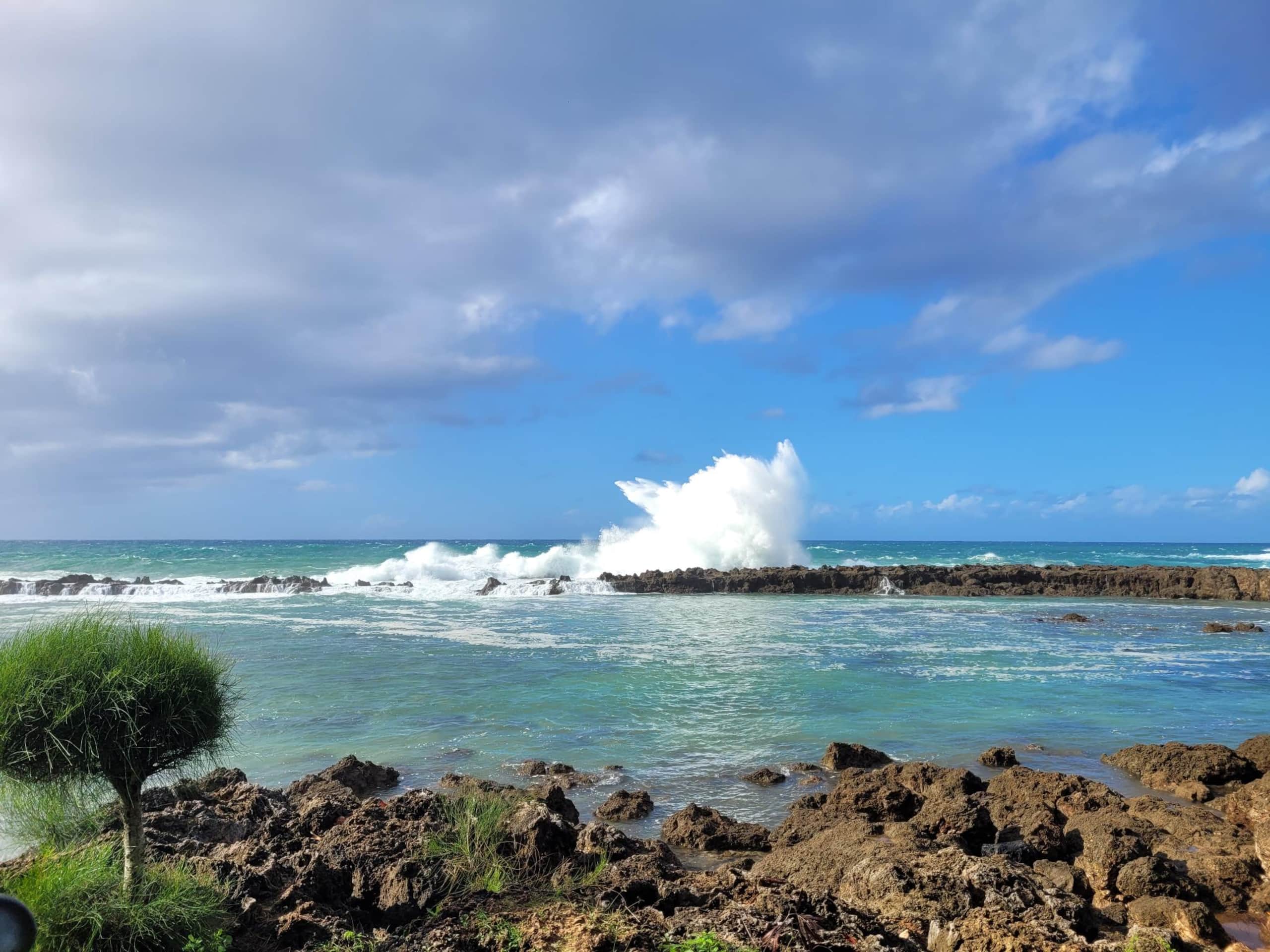 Condo in Kahuku · ★4.89 · 2 bedrooms · 4 beds · 2 shared baths - Image 24