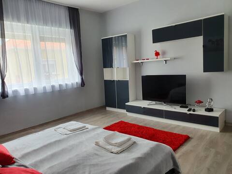 Apartment in a separate section of a family home