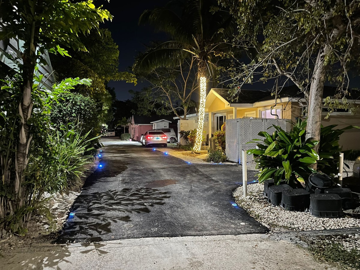 A well-lit pathway is lined with tropical foliage and illuminated by blue lights. The driveway leads to a charming yellow house, surrounded by trees and soft outdoor lighting, creating a serene evening ambiance.