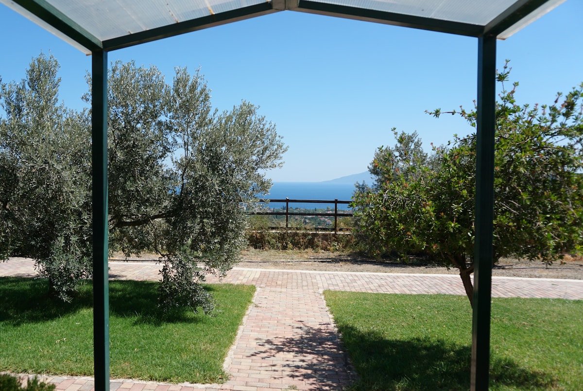 A spacious outdoor area showcases a clear view of the sea, framed by olive trees and shrubs. A pathway of brick pavers leads through a well-maintained lawn, creating a serene environment for relaxation. The landscape offers a blend of greenery and distant blue waters.