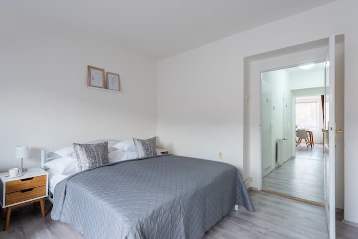 3.09 Bedroom Cozy Apartment,5 Min To The Center. - プラハ