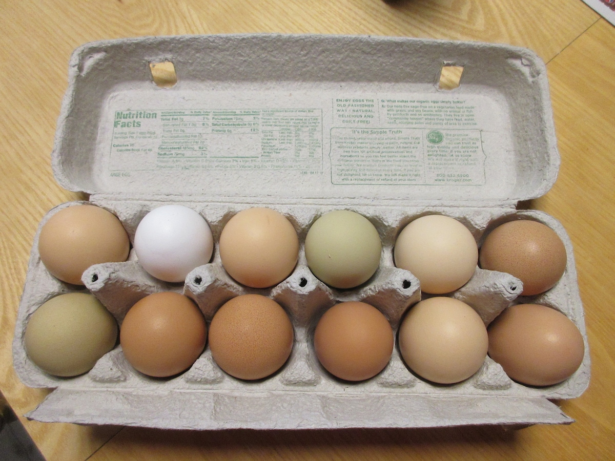 A carton containing twelve eggs sits on a wooden table. The eggs vary in color, including shades of brown, green, and a single white egg. The carton is made of recycled material, and the nutrition facts are visible on the lid.