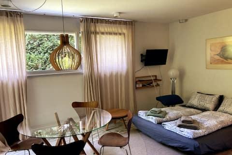 Popular Airbnb listing: STUDIO in Döbling