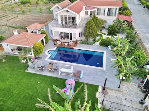 Luxurious Art Villa